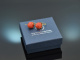 Coral Strawberries! Groe Korallen Erdbeer Ohrringe Silber 925 vergoldet