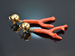 Boho Style! Gro&szlig;e Ast Korallen Ohrringe Silber 925...