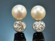 Um 1950! Altschliff Diamant Ohrringe ca. 1,2 ct mit Akoyazuchtperlen Gold 585