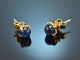 Fine Blue! Ohrstecker mit Saphiren Gold 750