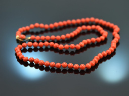 Around 1965! Long Italian precious coral necklace with...