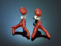 Sch&ouml;nes Rot! H&uuml;bsche Korallen Ast Ohrringe...