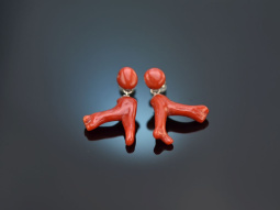 Sch&ouml;nes Rot! H&uuml;bsche Korallen Ast Ohrringe...