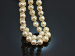 Circa 1990! 2-row Akoya cultured pearl necklace with fine...