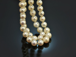 Circa 1990! 2-row Akoya cultured pearl necklace with fine sapphire diamond clasp 750 white gold