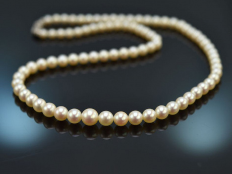Around 1950! Beautiful Akoya cultured pearl necklace with gold 585 clasp