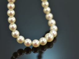 Around 1950! Beautiful Akoya cultured pearl necklace with...