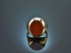 Um 1985! Hochwertiger Herren Wappen Siegel Ring mit Karneol Gold 585