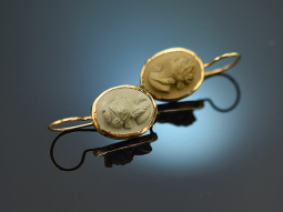 Italy around 1860! Beautiful lava cameo earrings gold-plated silver