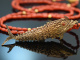 Around 1970! Filigree fish pendant with coral chain, gold-plated silver