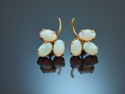 Around 1950! Pretty stud earrings with Australian opals...