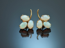 Around 1950! Pretty stud earrings with Australian opals gold 375