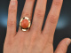 Around 1980! Chic large ring with precious coral in 585 gold