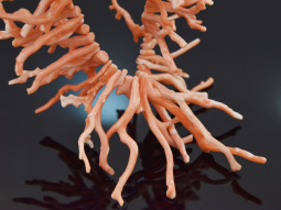 Large Italian angel skin branch coral necklace with...