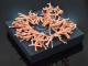 Large Italian angel skin branch coral necklace with gold-plated silver clasp 925