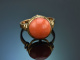 Around 1960! Timeless salmon coral ring in 585 gold
