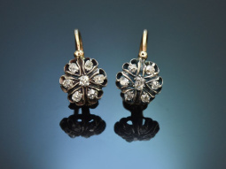 Wien um 1905! H&uuml;bsche Ohrringe mit Diamanten aus...