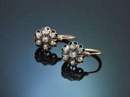 Wien um 1905! H&uuml;bsche Ohrringe mit Diamanten aus...