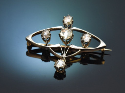 Ulm around 1890! Early Art Nouveau brooch with diamond...