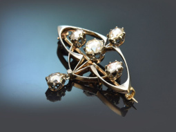 Ulm around 1890! Early Art Nouveau brooch with diamond...