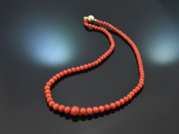 Around 1980! Fine Italian precious coral necklace with...