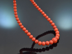 Around 1980! Fine Italian precious coral necklace with...