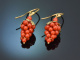 Italy around 1970! Pretty grape earrings made of precious coral and gold-plated silver