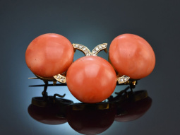 Vienna around 1900! Rare coral brooch from aristocratic...
