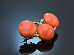Vienna around 1900! Rare coral brooch from aristocratic...