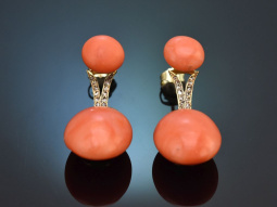 Vienna around 1900! Rare coral earrings from aristocratic...