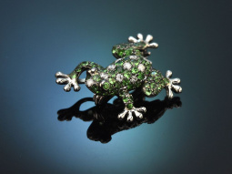 Frecher Frosch! H&uuml;bsche Anh&auml;nger Brosche mit...