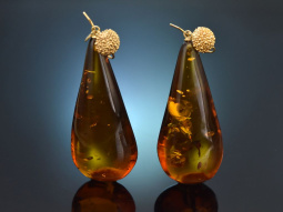 Big Amber! Sehr Große Tropfen Bernstein Ohrringe...