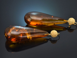 Big Amber! Sehr Große Tropfen Bernstein Ohrringe...