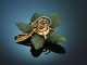 Munich around 1955! Leaf brooch with lucky beetle made of jadeite coral and 750 gold