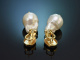 Baroque Pearls! Beautiful drop earrings in gold-plated 925 silver