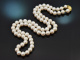 Big Pearls! Chic long cultured pearl necklace with gold-plated silver clasp