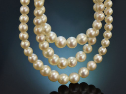 England um 1973! Klassische 3reihige Akoya Zuchtperlen...