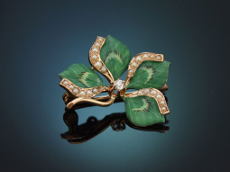 Berlin around 1900! Lucky clover brooch with enamel seed...