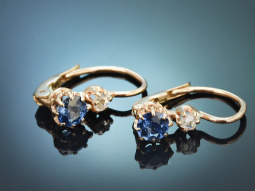 Wien um 1900! Feine Dormeuse Ohrringe mit Saphiren und...