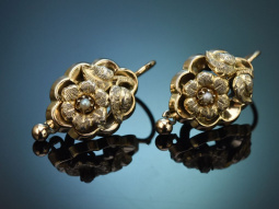 Linz um 1860! Zarte Biedermeier Ohrringe aus vergoldetem...