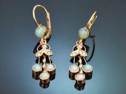 &Ouml;sterreich um 1900! Historische Ohrringe mit Opalen...