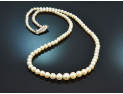 Circa 1950! Delicate Akoya cultured pearl necklace with...