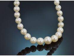 Circa 1950! Delicate Akoya cultured pearl necklace with...