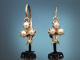Circa 1890! Delicate little dormeuse earrings with seed pearls in 14-carat gold