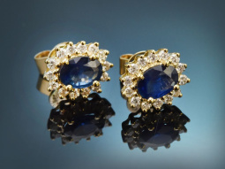 Classy Blue! Feine Saphir Diamant Ohrringe aus Gold 750