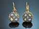 Italy, circa 1910! Charming micro-mosaic earrings in 333 gold and gold-plated tombac