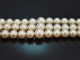 Around 1960! A exquisite 3-strand long Akoya pearl necklace in a gradient of 585 gold