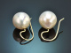 From our workshop! Delicate cultured pearl drop earrings in 585 gold