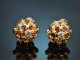 Circa 1965! Signed vintage Sputnik earclips by Hans Stern, Brazil, 750 gold