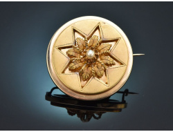 S&uuml;ddeutsch um 1860! Sch&ouml;ne Biedermeier Brosche...